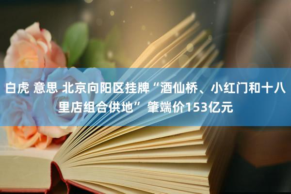 白虎 意思 北京向阳区挂牌“酒仙桥、小红门和十八里店组合供地” 肇端价153亿元