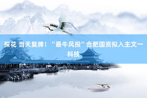 探花 当天复牌！“最牛风投”合肥国资拟入主文一科技