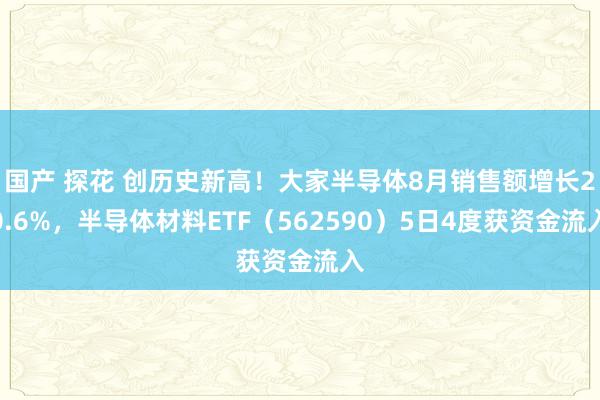 国产 探花 创历史新高！大家半导体8月销售额增长20.6%，半导体材料ETF（562590）5日4度获资金流入