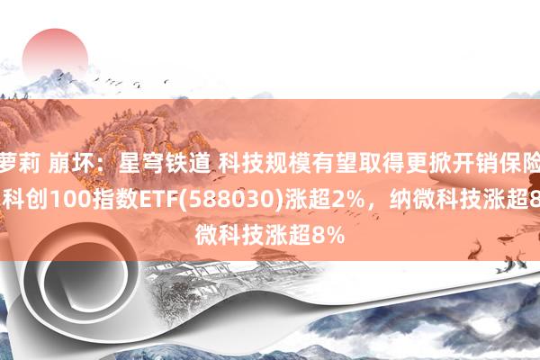萝莉 崩坏：星穹铁道 科技规模有望取得更掀开销保险，科创100指数ETF(588030)涨超2%，纳微科技涨超8%