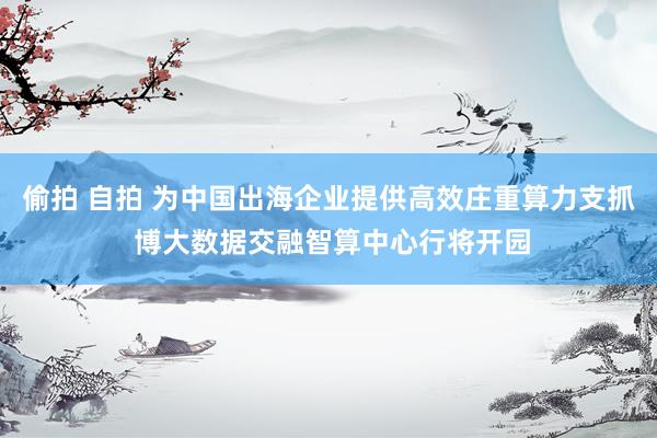 偷拍 自拍 为中国出海企业提供高效庄重算力支抓 博大数据交融智算中心行将开园